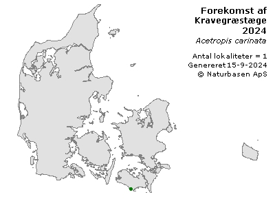 Kravegræstæge - udbredelseskort