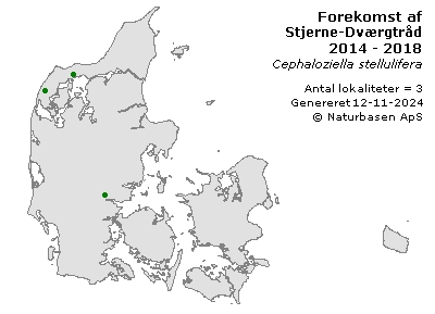 Stjerne-Dværgtråd - udbredelseskort