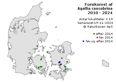 Agallia consobrina - udbredelseskort