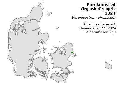 Virginsk Ærenpris - udbredelseskort