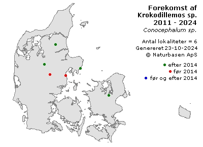 Krokodillemos sp. - udbredelseskort