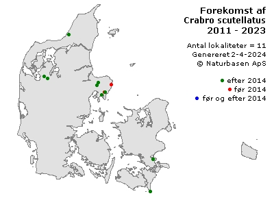 Crabro scutellatus - udbredelseskort