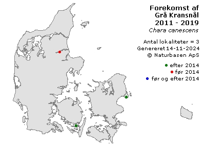 Grå Kransnål - udbredelseskort