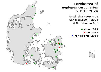 Auplopus carbonarius - udbredelseskort