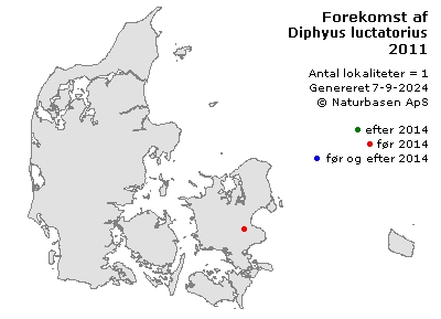 Diphyus luctatorius - udbredelseskort