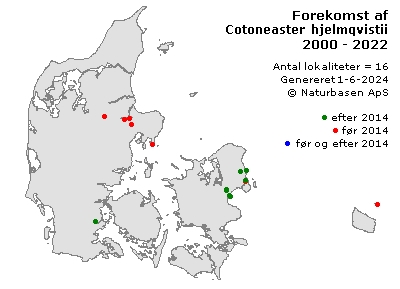Cotoneaster hjelmqvistii - udbredelseskort