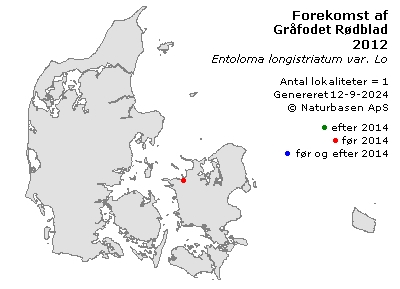 Gråfodet Rødblad - udbredelseskort