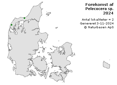 Pelecocera sp. - udbredelseskort