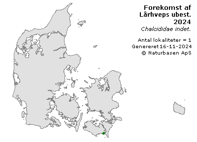 Lårhveps ubest. - udbredelseskort