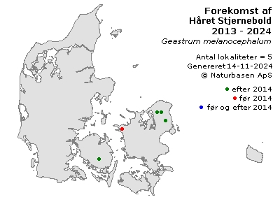 Håret Stjernebold - udbredelseskort