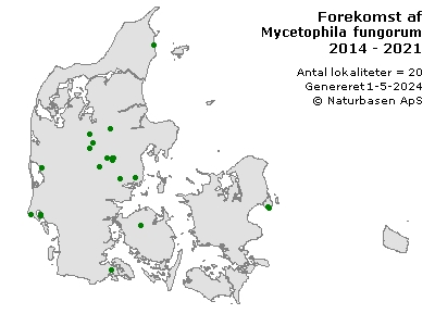 Mycetophila fungorum - udbredelseskort