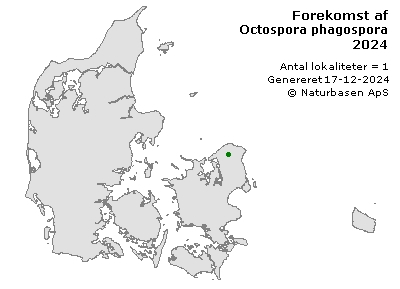 Octospora phagospora - udbredelseskort