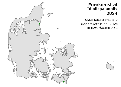 Idiolispa analis - udbredelseskort