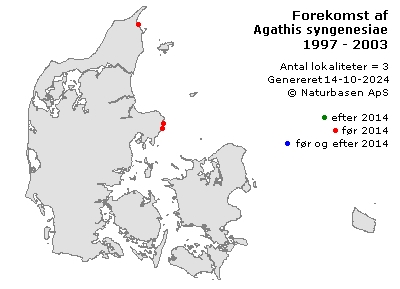 Agathis syngenesiae - udbredelseskort