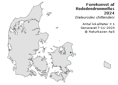 Rododendronmellus - udbredelseskort