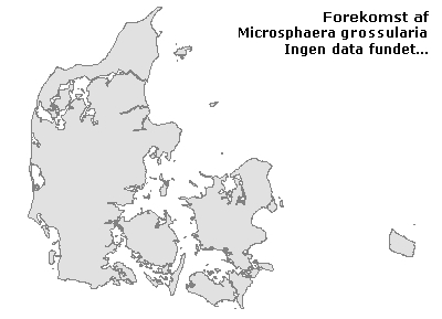 Microsphaera grossulariae - udbredelseskort