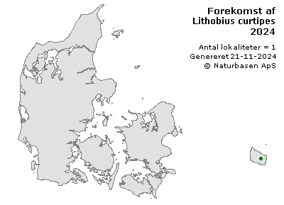 Lithobius curtipes - udbredelseskort