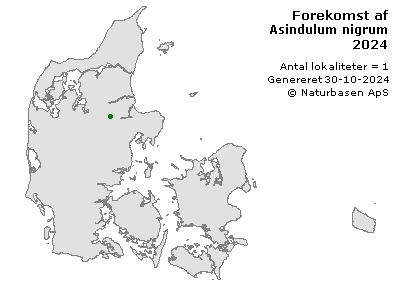 Asindulum nigrum - udbredelseskort