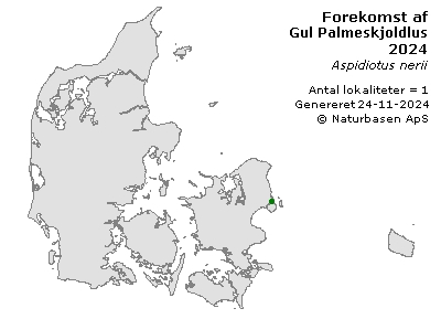 Gul Palmeskjoldlus - udbredelseskort