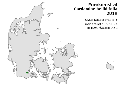 Cardamine bellidifolia - udbredelseskort