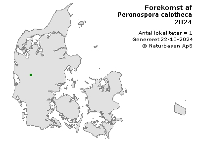 Peronospora calotheca - udbredelseskort