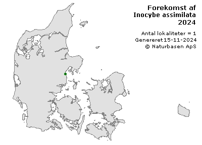 Inocybe assimilata - udbredelseskort