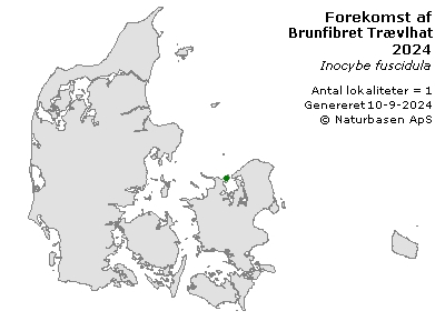 Brunfibret Trævlhat - udbredelseskort