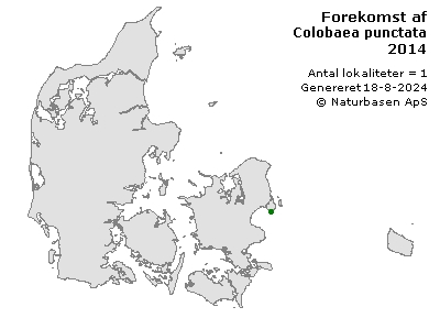 Colobaea punctata - udbredelseskort