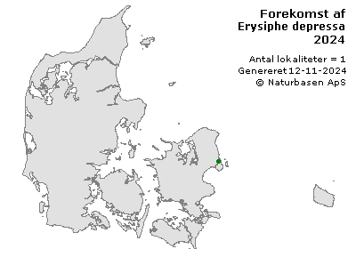 Erysiphe depressa - udbredelseskort