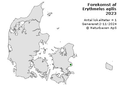 Erythmelus agilis - udbredelseskort