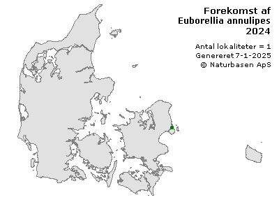 Euborellia annulipes - udbredelseskort