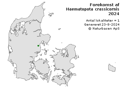 Haematopota crassicornis - udbredelseskort