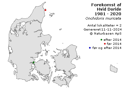 Hvid Doride - udbredelseskort