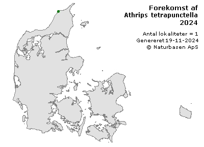 Athrips tetrapunctella - udbredelseskort