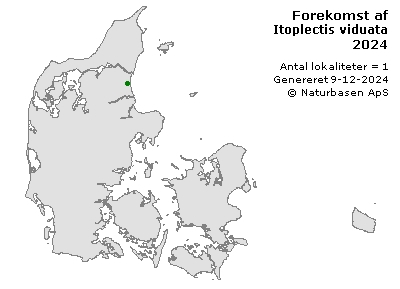 Itoplectis viduata - udbredelseskort