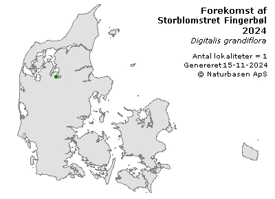 Storblomstret Fingerbøl - udbredelseskort