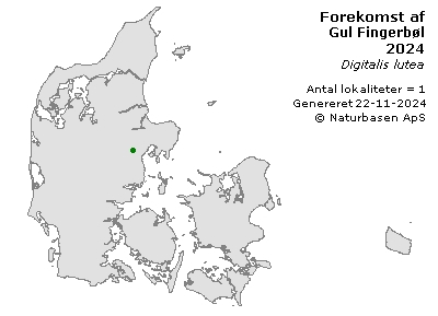 Gul Fingerbøl - udbredelseskort