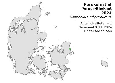 Purpur-Blækhat - udbredelseskort