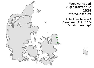 Ægte Kartebolle - udbredelseskort