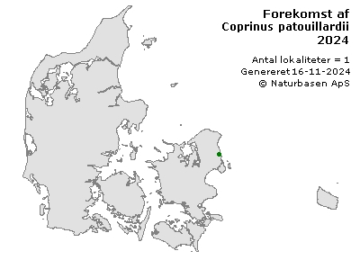 Coprinus patouillardii - udbredelseskort