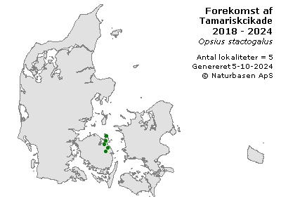 Tamariskcikade - udbredelseskort