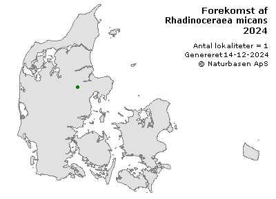 Rhadinoceraea micans - udbredelseskort