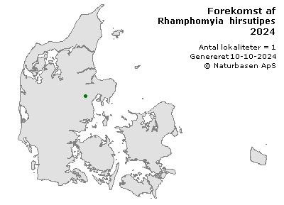 Rhamphomyia hirsutipes - udbredelseskort