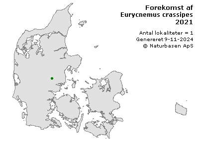 Eurycnemus crassipes - udbredelseskort