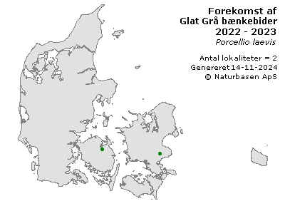 Glat Grå bænkebider - udbredelseskort