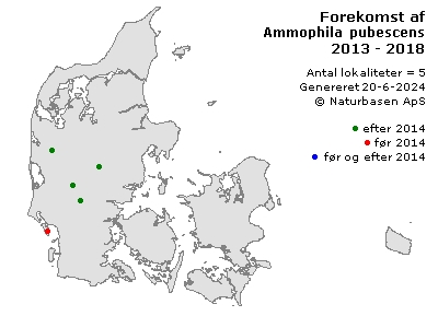Ammophila pubescens - udbredelseskort