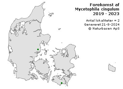 Mycetophila cingulum - udbredelseskort