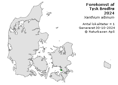 Tysk Brodfrø - udbredelseskort