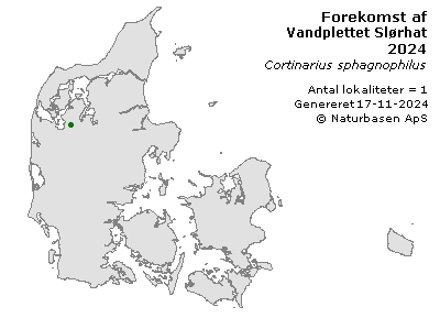 Vandplettet Slørhat - udbredelseskort