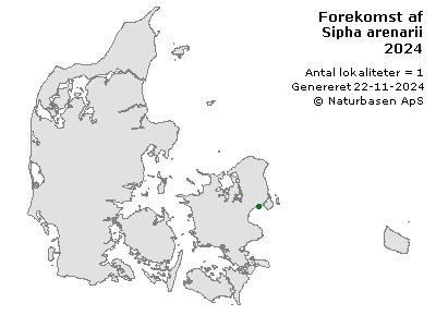 Sipha arenarii - udbredelseskort